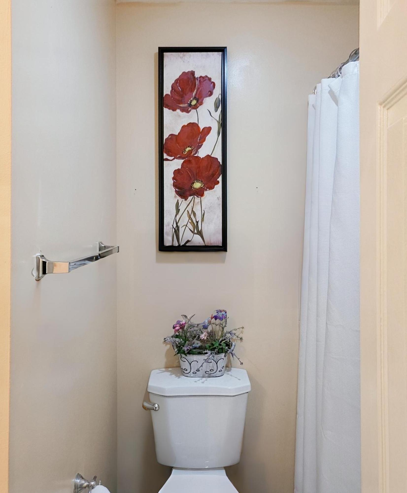 Modern Comfort Stays อเล็กซานเดรีย ภายนอก รูปภาพ
